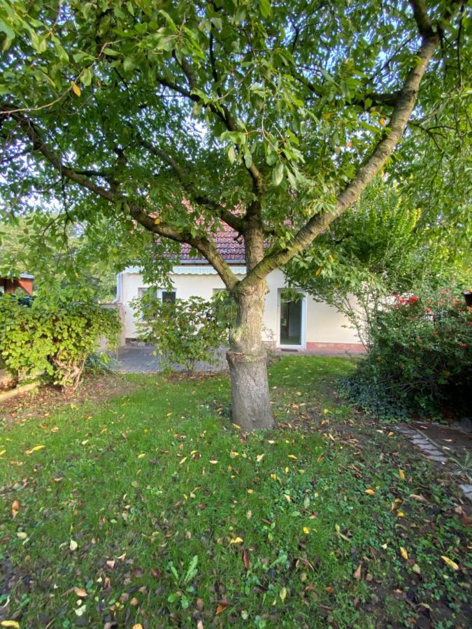 לוקאו Ferienhaus Spreewald מראה חיצוני תמונה
